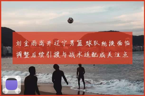 刘金雨离开辽宁男篮 球队轮换面临调整后续引援与战术适配成关注点