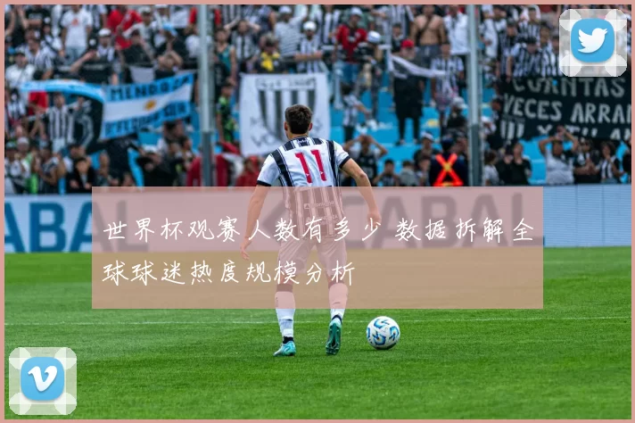世界杯观赛人数有多少 数据拆解全球球迷热度规模分析