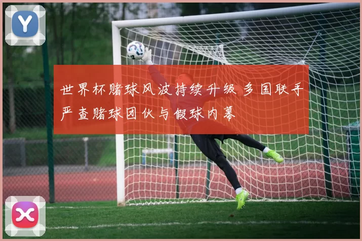 世界杯赌球风波持续升级 多国联手严查赌球团伙与假球内幕